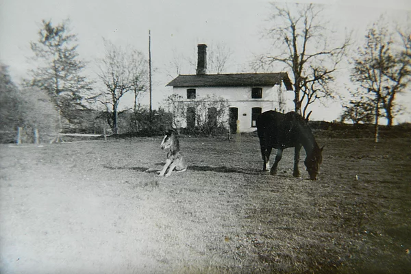 Frörup, Backhaus der Bäckerei Thomsen
