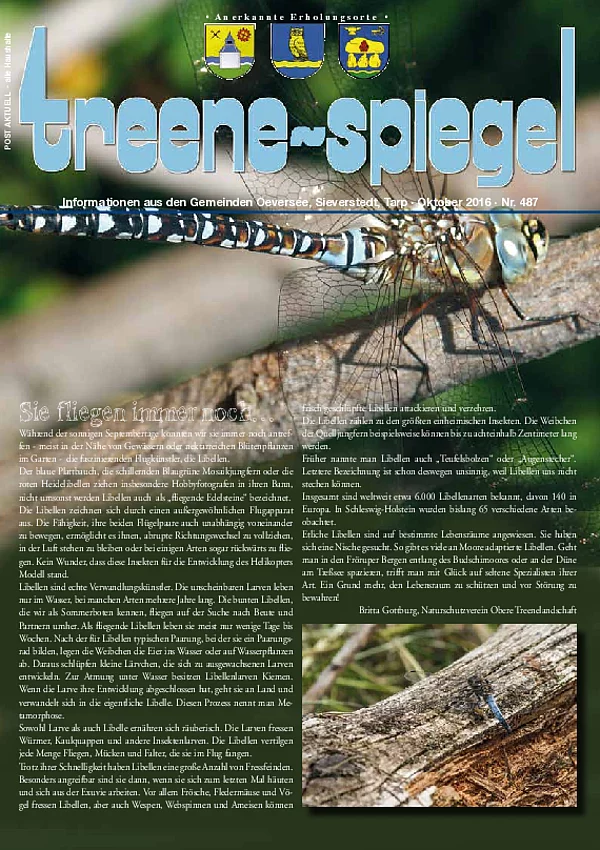 Treenespiegel Oktober 2016