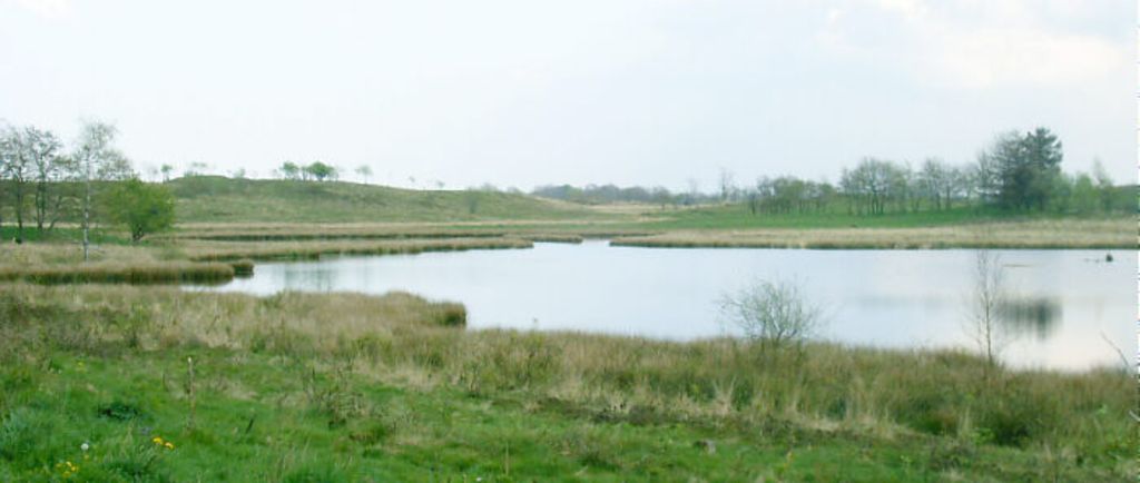 Die Düne in Augaard (Nr. 17)