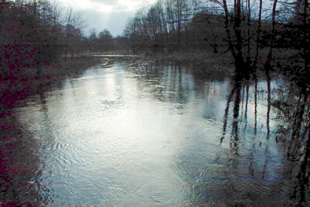 Hochwasser an der Treene (Nr. 12)