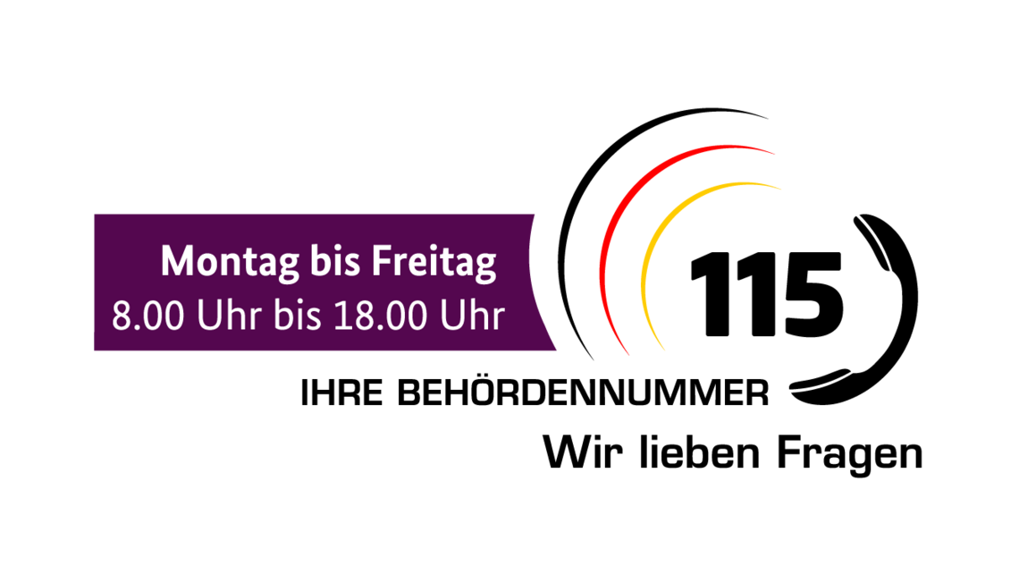 Logo 115