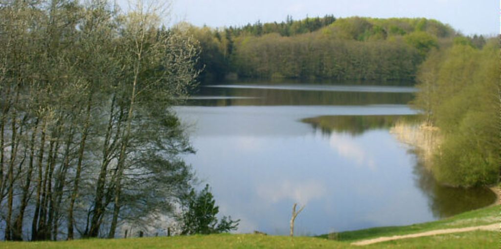 Sankelmarker See (Nr. 9)